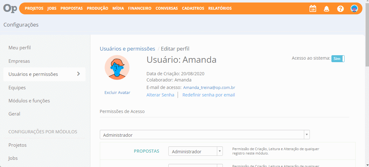 personalizar perfil de acesso.gif
