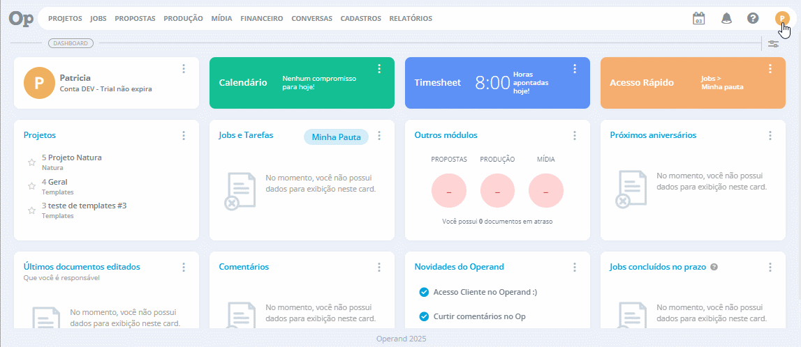 relatório de horas por projeto.gif
